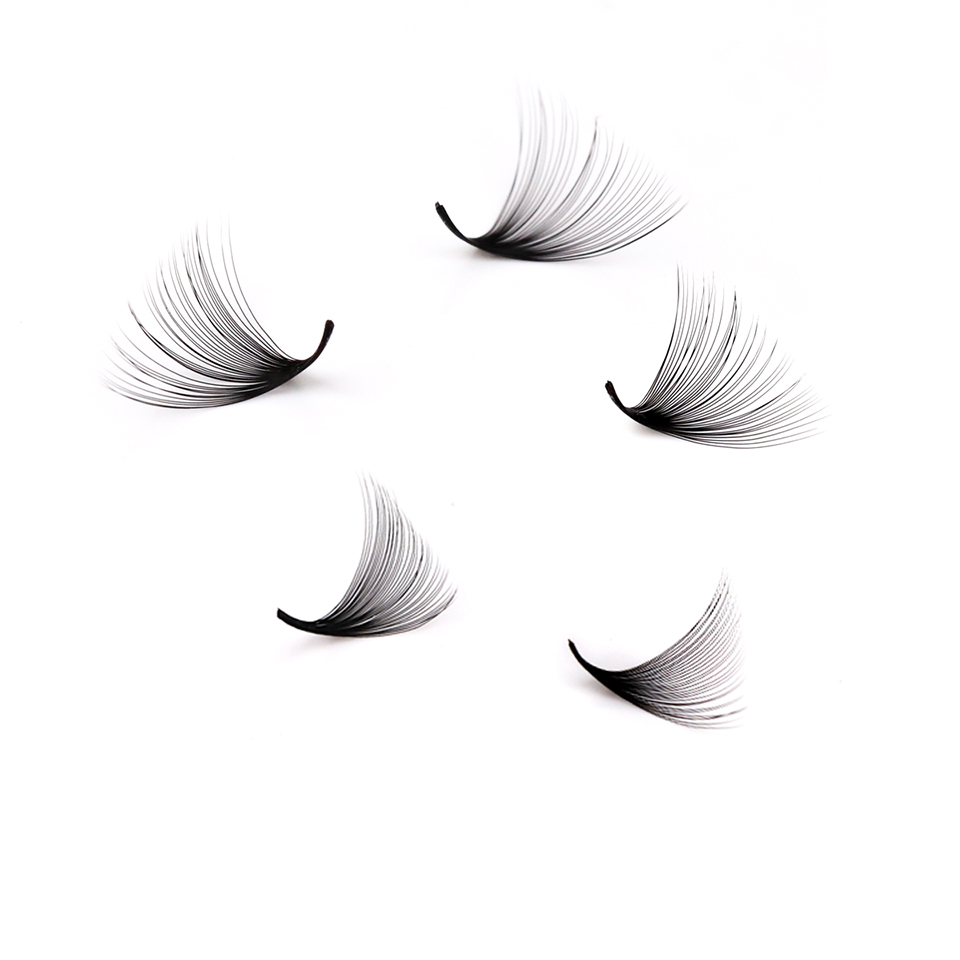 Lashprofessor XL Tray 3D 4D 5D – Eyelash Extension Russian recenzja i cena